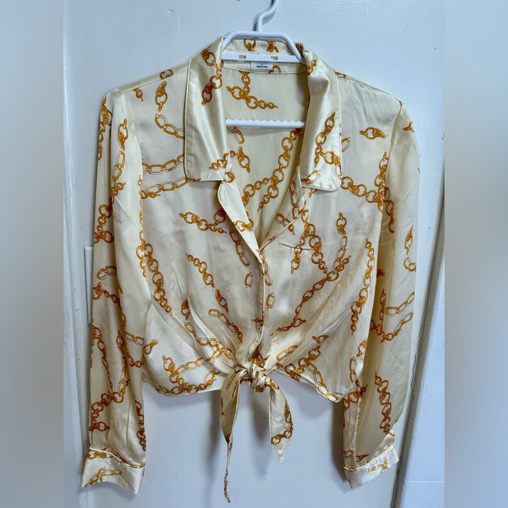 Aritzia Silk Cropped Tie blouse